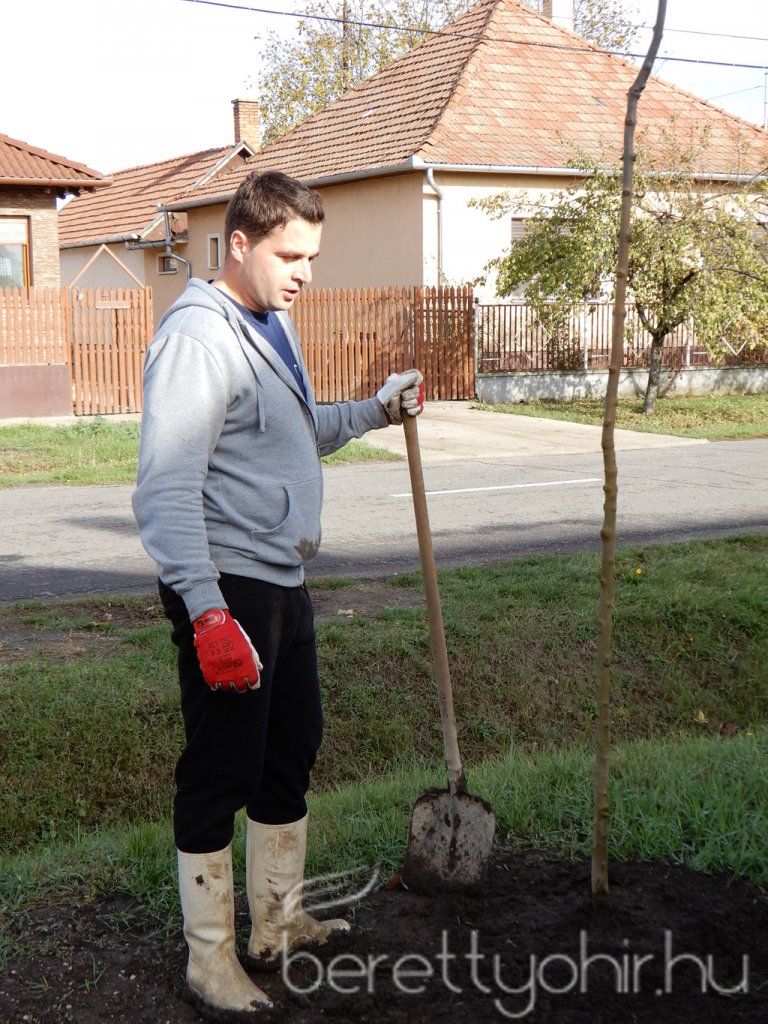 Közösségi faültetés Berettyóújfaluban 70